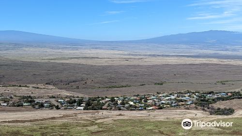 Kohala Mountain Rd