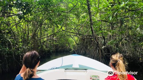 Green Lagoon Safari