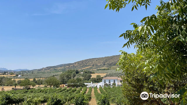 Bodega Garcia Hidalgo