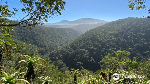 Garden Route National Park - Wilderness Section