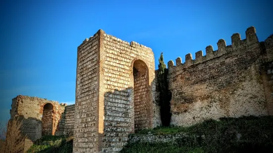 Castillo Palacio de Escalona