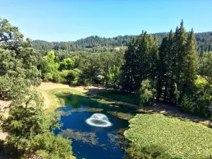 Sterling Vineyards