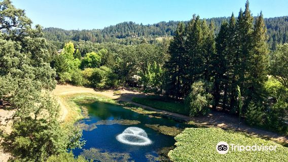 Napa County
