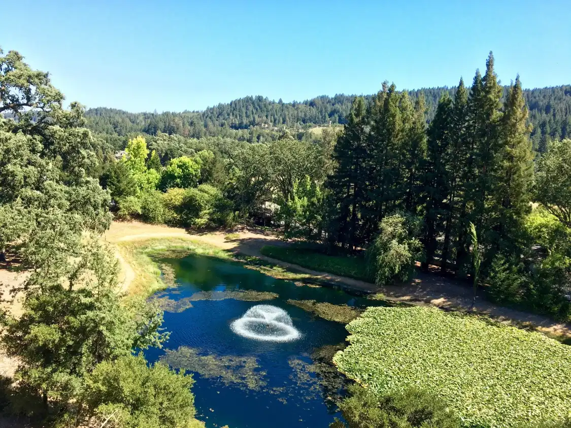 Hotels near Sterling Vineyards