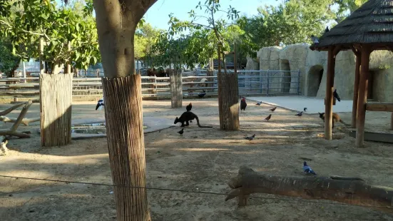 Municipal Zoo