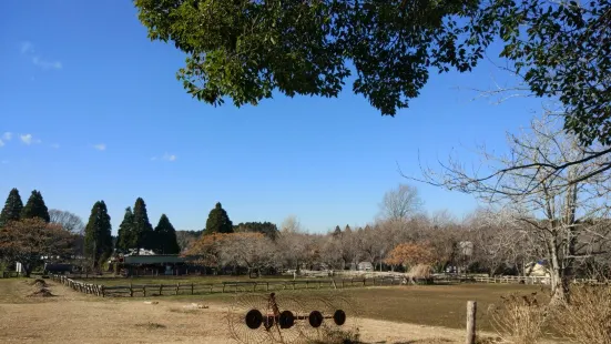 Akimoto Farm