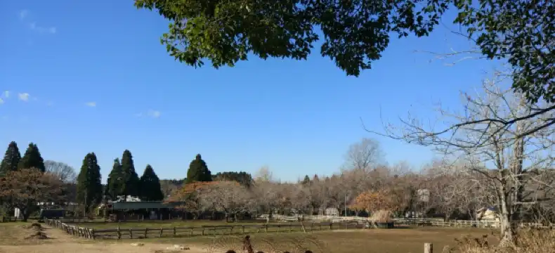 Hotels in Nagara
