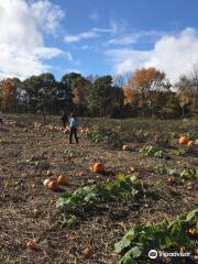 Buckhorn Berry Farm