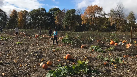 Buckhorn Berry Farm