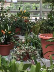 Liberty Hyde Bailey Conservatory