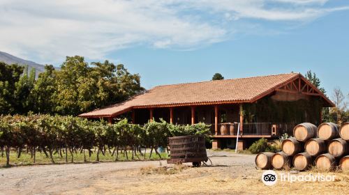 Portal del Alto Vineyard