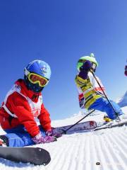 Swiss Ski and Snowboard School Kleine Schiedegg
