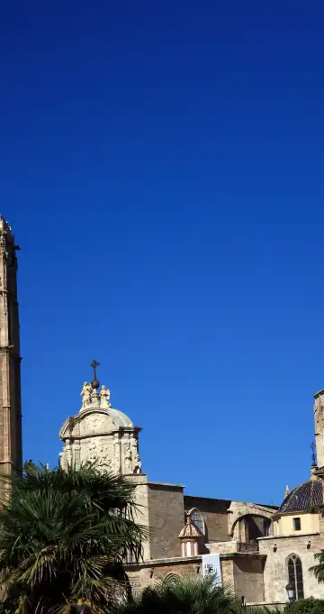 鄰近米卡萊特塔的酒店