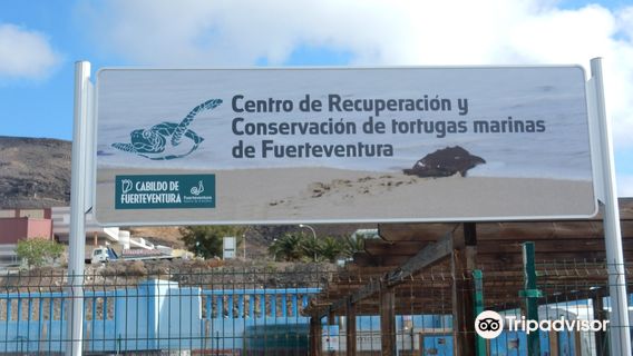 Turtle Nursery