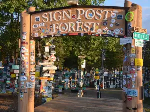 Sign Post Forest