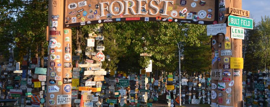 Sign Post Forest