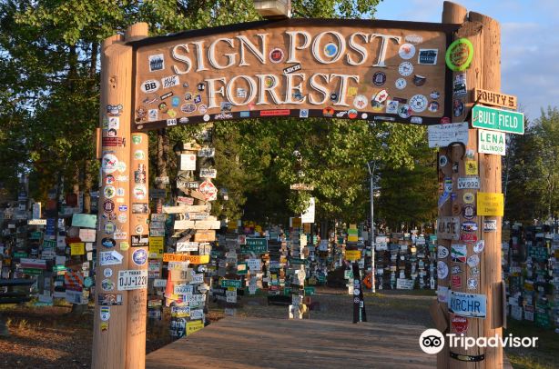 Sign Post Forest