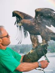 Adlerarena Burg Landskron - Flugschau und Tierpark mit Greifvögeln & Eulen in der Region Villach - Faaker See