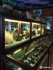 Mineralogical Museum S.V.Zhigalova