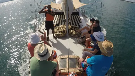 PJ's Sailing Adventures Fiji