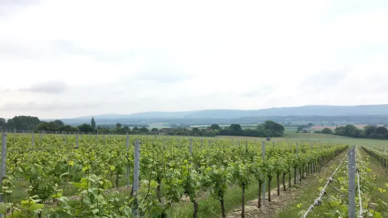 Upperton Vineyards