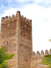 Castillo de Laguna de Negrillos