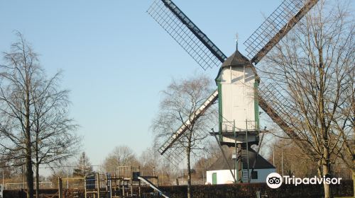 Molen van Jetten