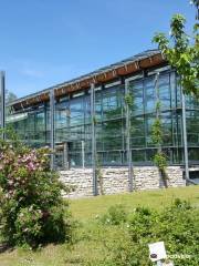 Jardín Botánico de la Universidad de Rostock