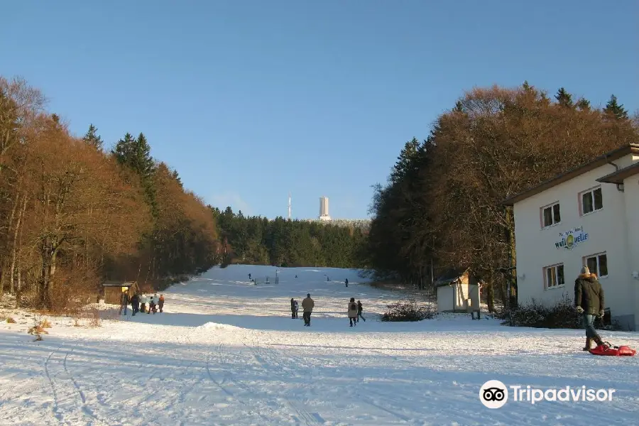 Feldberg Mountain