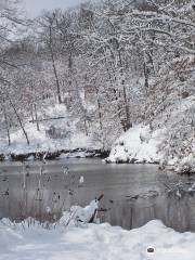 Shoal Creek Conservation Area