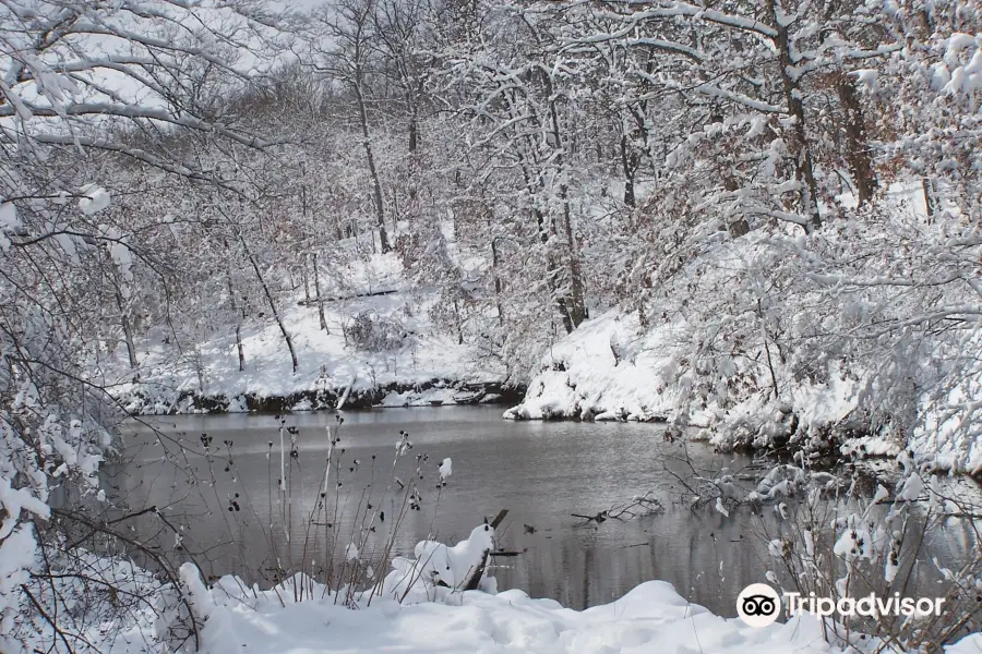 Shoal Creek Conservation Area