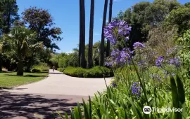 Parc Olbius Riquier