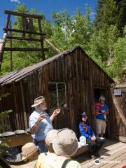Washington Mine Site and Milling Exhibit