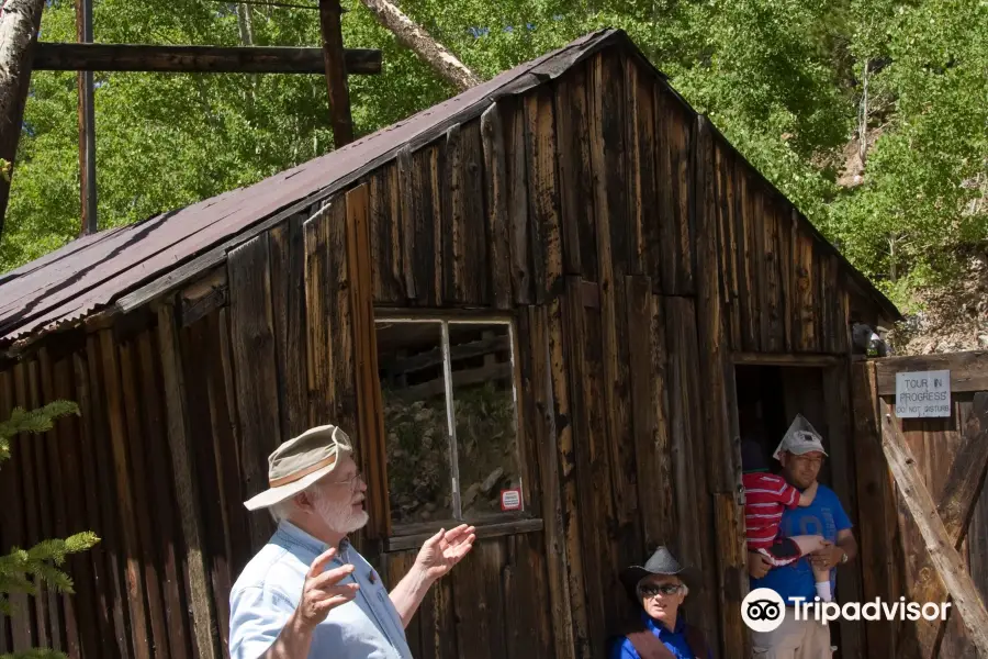 Washington Mine Site and Milling Exhibit