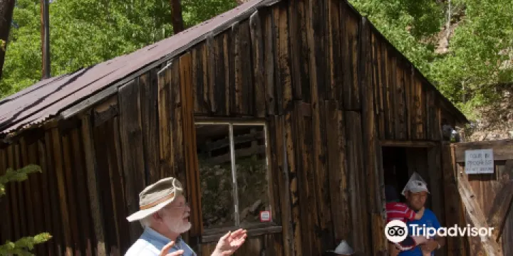 Washington Mine Site and Milling Exhibit