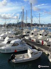 Cabo Verde Fishing Center