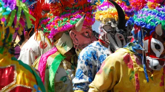 Veracruz Carnival