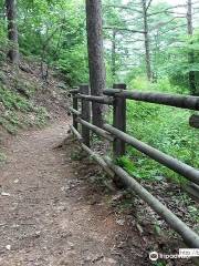 Jungmisan Mountain Recreation Forest