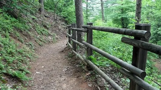 Jungmisan Mountain Recreation Forest