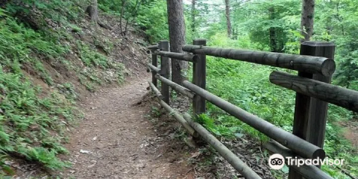 仲美山自然休養林