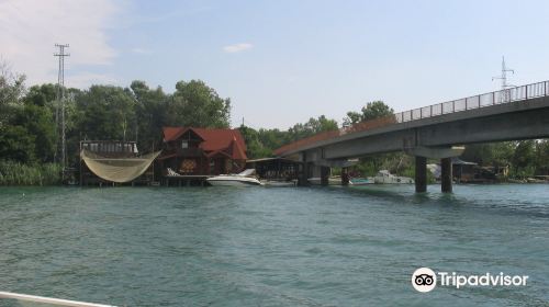 Bojana River