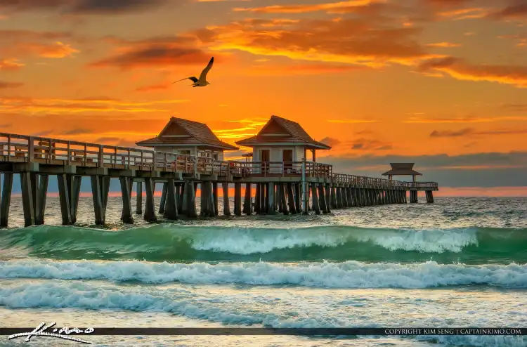 Hotels near Naples Pier