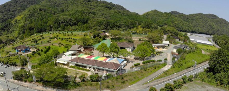 Taki District