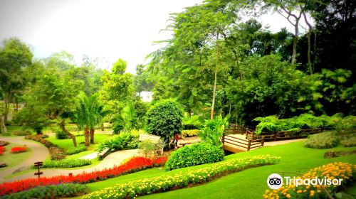 Doi Tung Palace, Mae Fa Luang