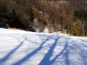Skiareál Telnice