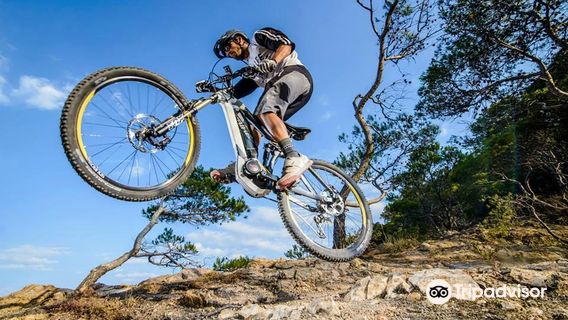 Dorset CycleLife