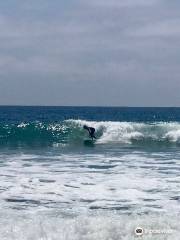 Malibu Surf Coach