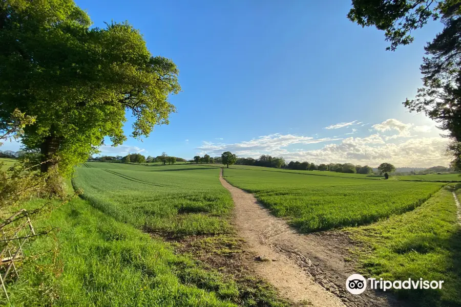 Surrey Hills Cycle Hire