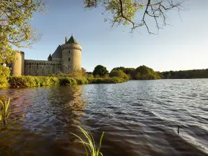 Suscinio Castle