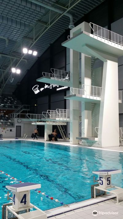 Pieter van den Hoogenband Schwimmstadion